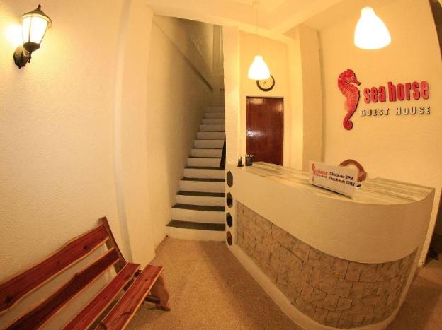 sea horse guest house