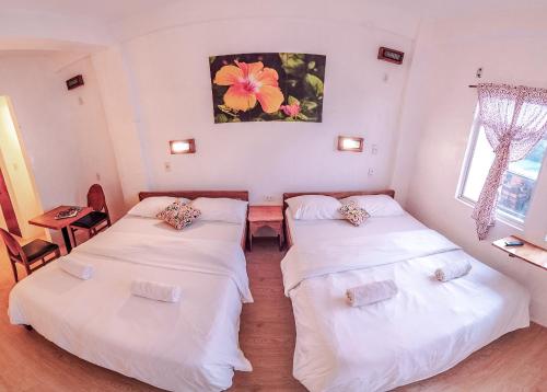 sea horse guest house