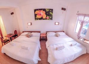 sea horse guest house