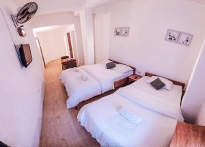 sea horse guest house