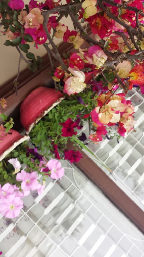 dipankara holiday home