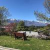 queenstown