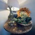 city guesthouse de rozenboom
