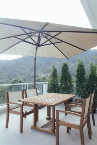 the peak residence