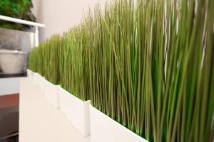 sleepbox hotel ximen