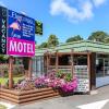 flamingo motel