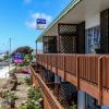 flamingo motel
