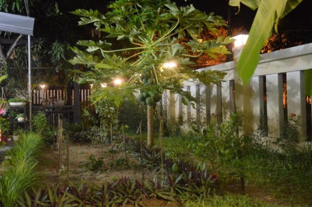 joy hoi an homestay