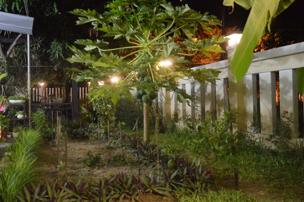 joy hoi an homestay