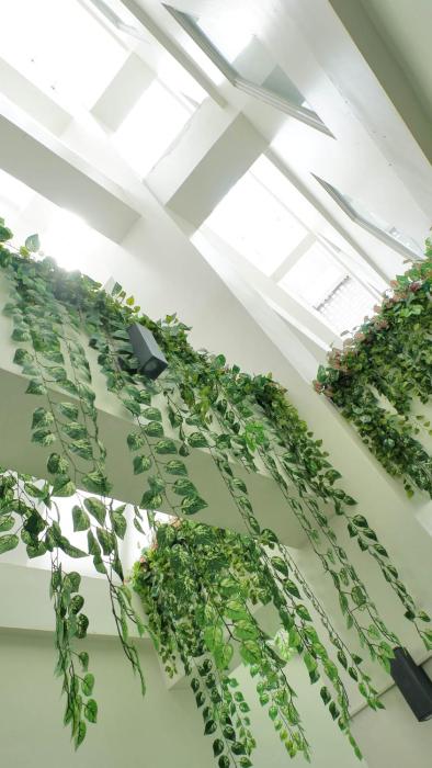 1o1 urban jakarta glodok kota tua