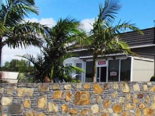 auckland phoenix palm