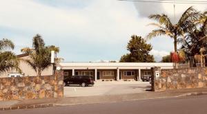 auckland phoenix palm
