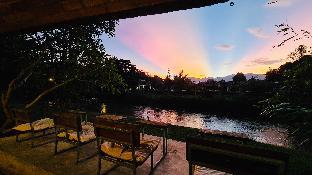 canary guesthouse