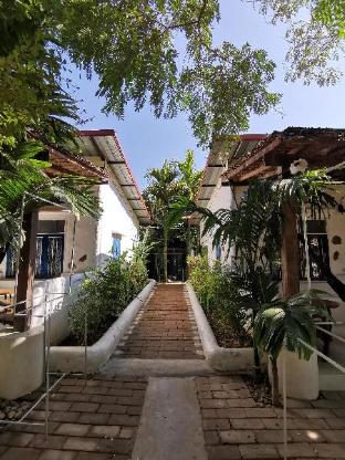 canary guesthouse