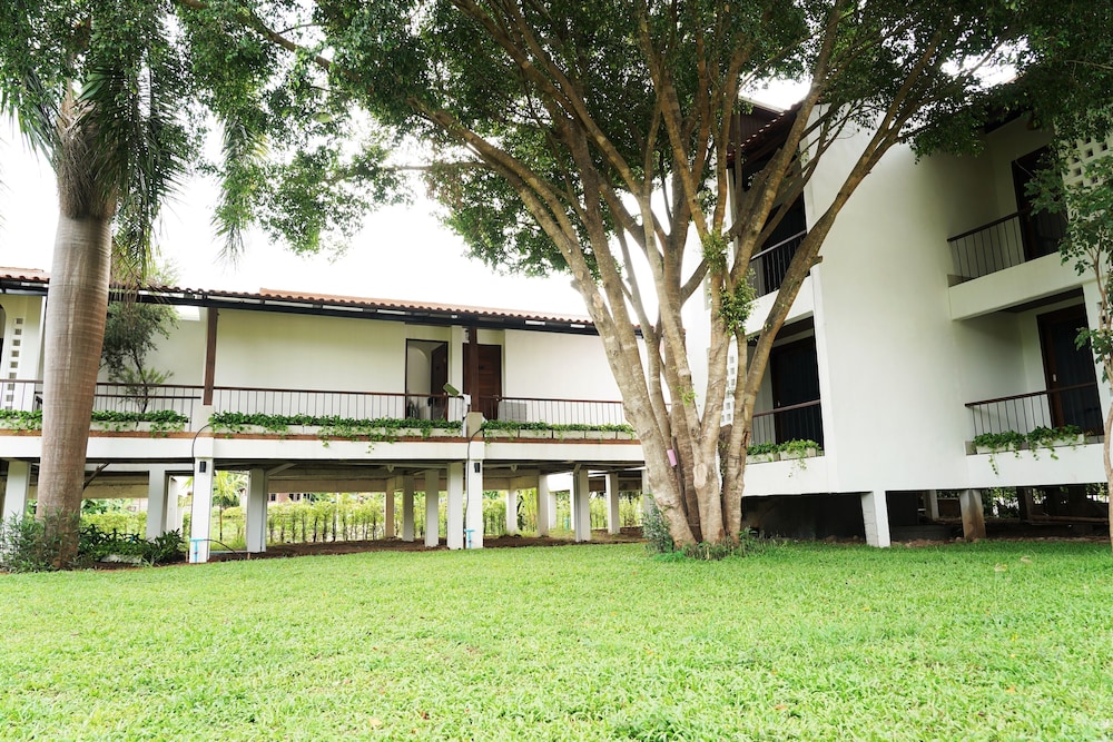 canary guesthouse