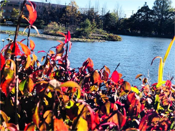 karuizawa pension satou no nukumori