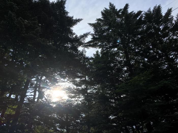 karuizawa pension satou no nukumori