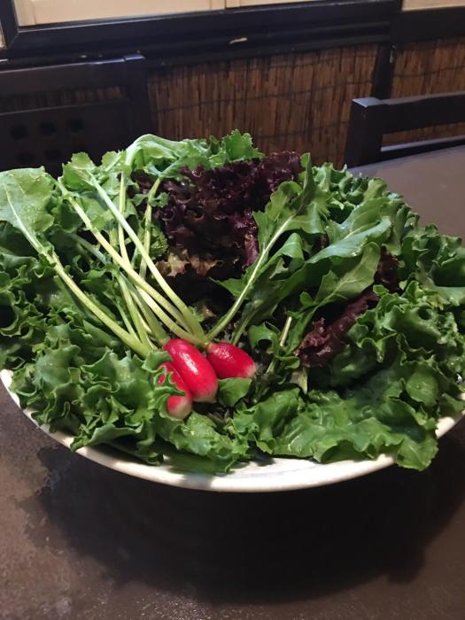 karuizawa pension satou no nukumori