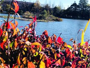 karuizawa pension satou no nukumori