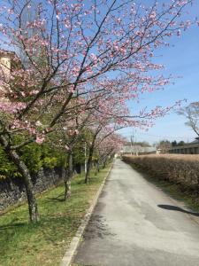 karuizawa pension satou no nukumori