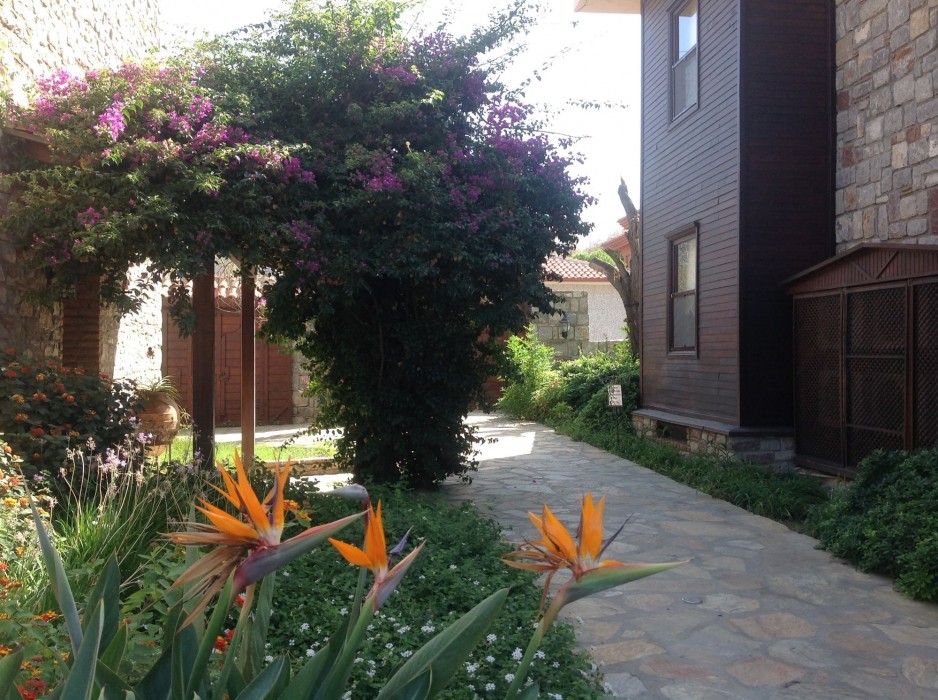 luna begonvil tas evler