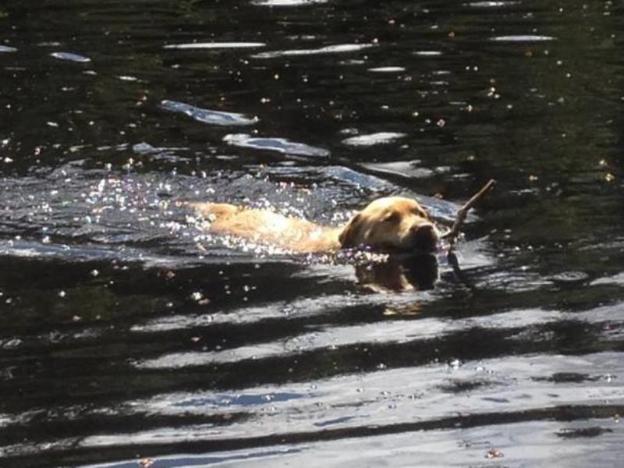 blackwater hostel and campsite