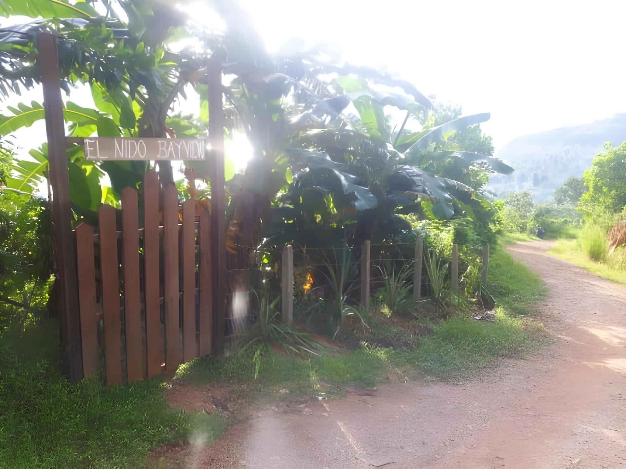 bebeladan el nido bayview