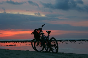 coconut garden resort