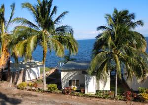 lake safari lodge