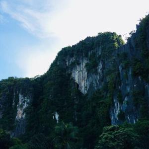 el nido