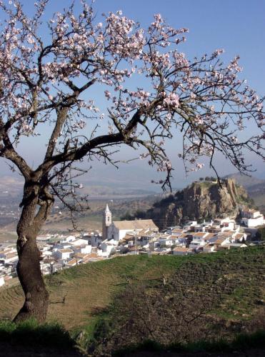 apartamentos ardales