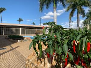Silo Motor Inn Biloela,Biloela>>Banana,4 star