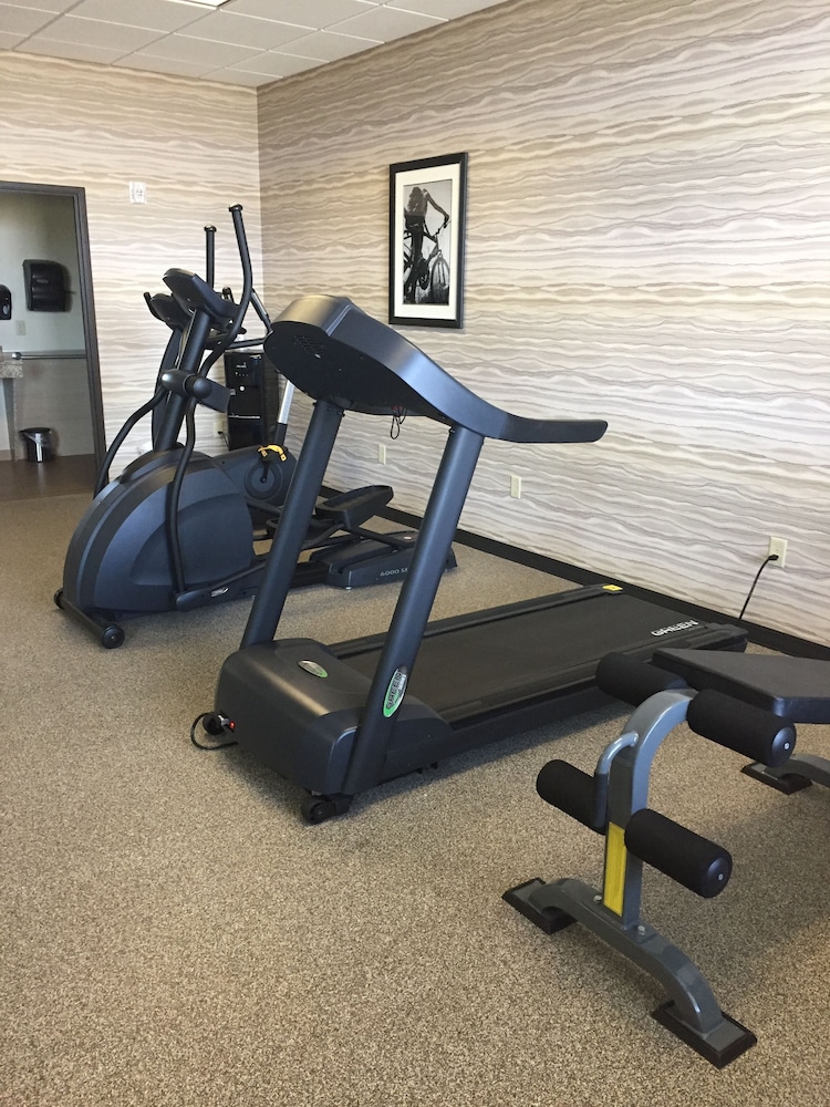 best western plus havre inn and suites