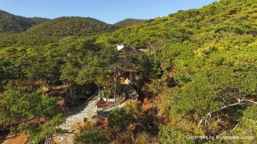 musangano lodge