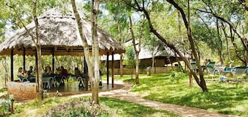 musangano lodge