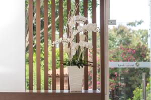 hotel niriides beach