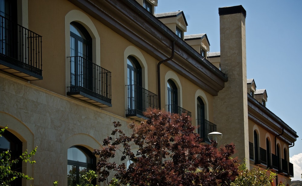 fontecruz avila