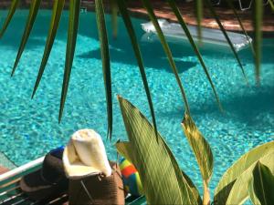 siesta key inn