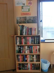 mt fuji hostel michaels