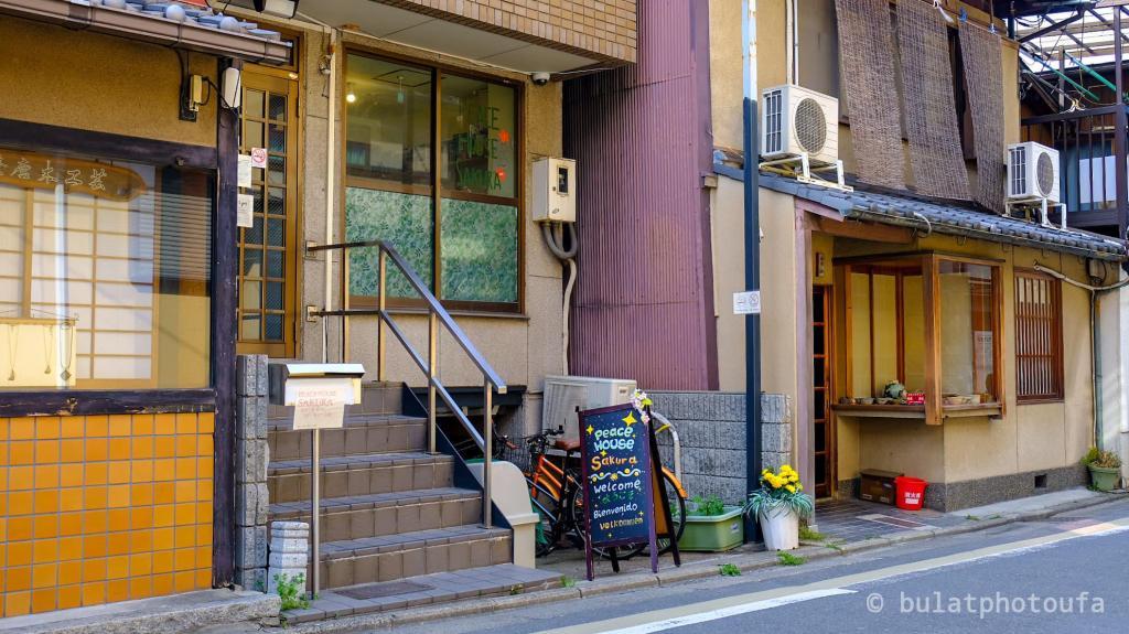 peace house sakura