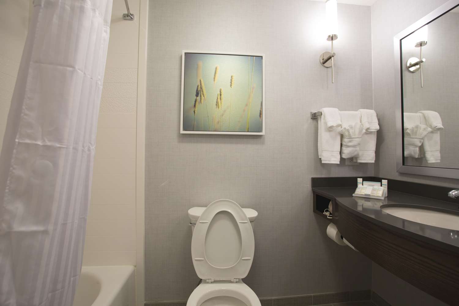 hilton garden inn bolingbrook i 55