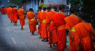 lotus villa boutique hotel