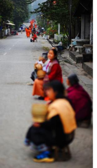 lotus villa boutique hotel