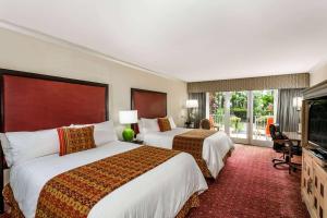 safety harbor resort and spa trademark collection by wyndham