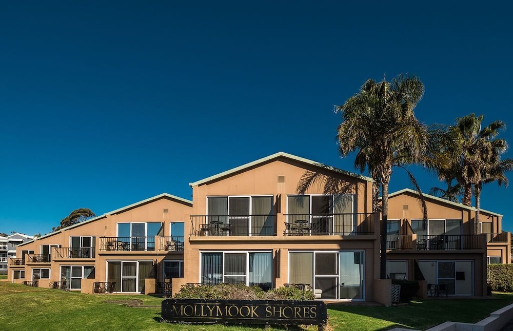 mollymook
