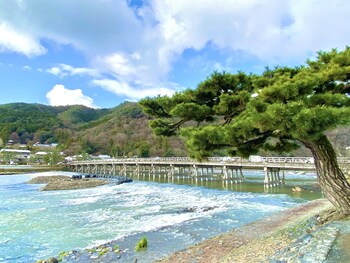 kyoto uraraka guest house