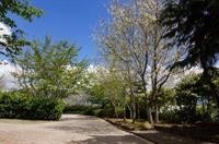 mone garden inn cingjing