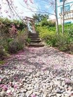 mone garden inn cingjing