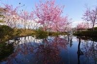 mone garden inn cingjing