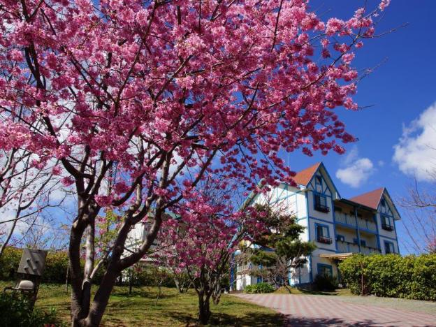 mone garden inn cingjing
